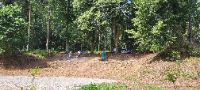 20240629_113253 (002)